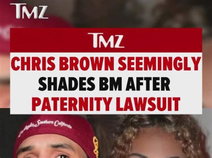 Chris Brown Paternity Test