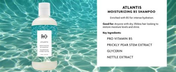 R+Co ATLANTIS Moisturizing B5 Shampoo, $14, bluemercury.com