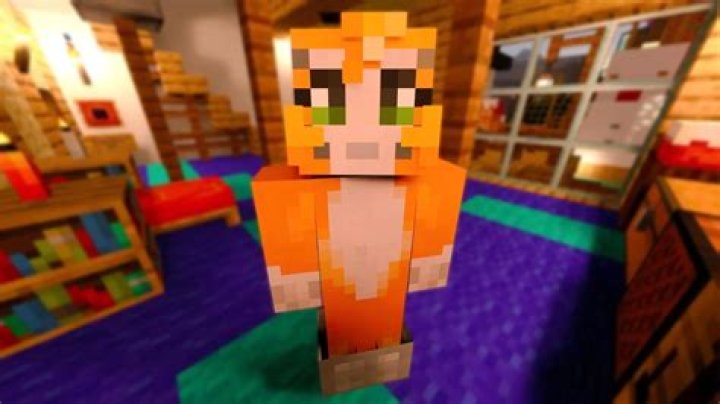 Stampy Stampy